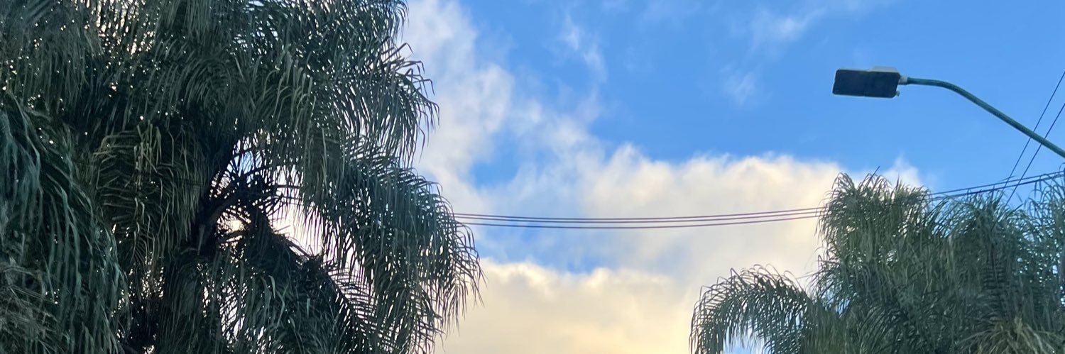 zaami_lez's profile banner image