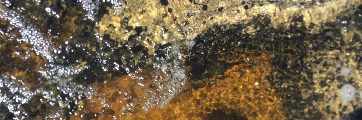 imthomasnoyes's profile banner image