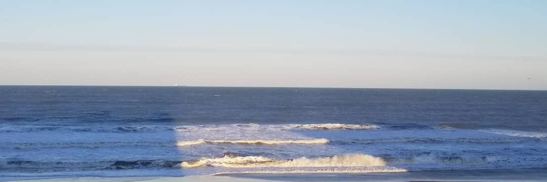 Lakisha Williams-Brown NBCT, MBA banner