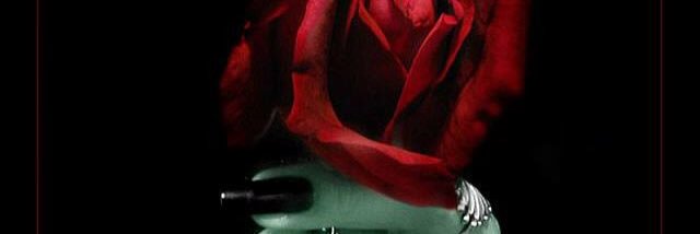 DarkTalamascan's profile banner image