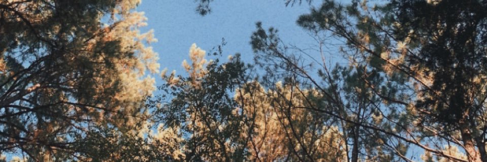 madison_mcbrien's profile banner image