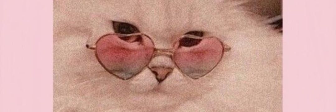 belgamzeliii's profile banner image