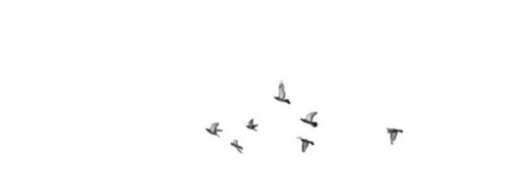 بو غطاط banner