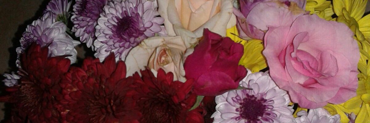 diahshalala's profile banner image