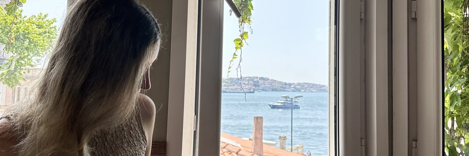 fidosfido's profile banner image