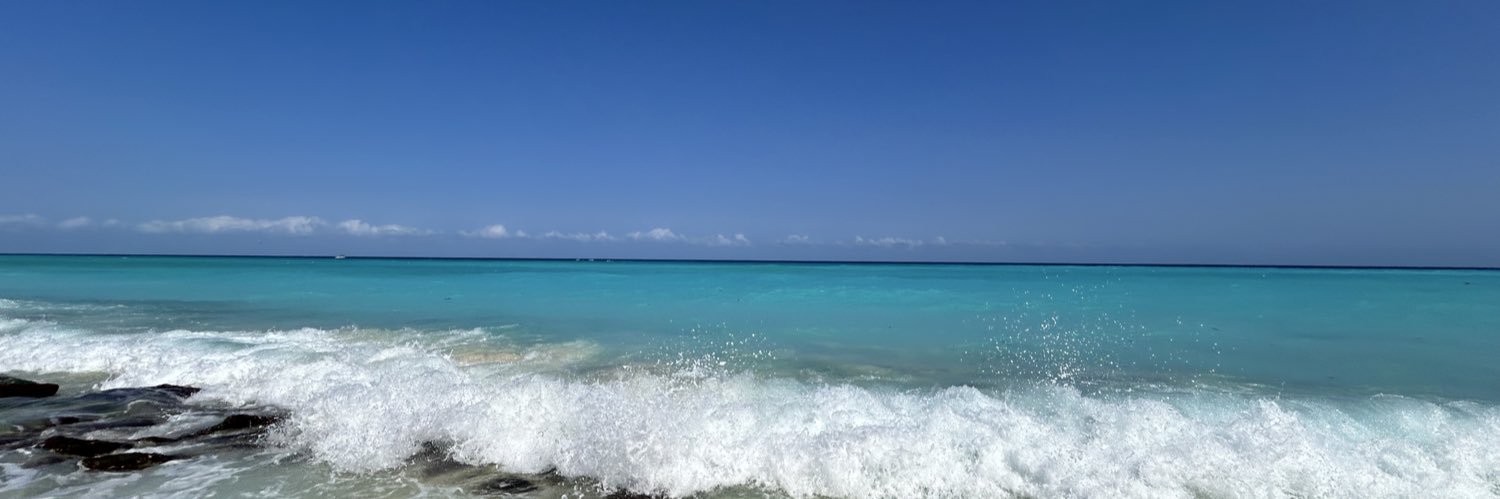 seekinganythingbutalpha banner