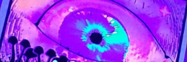 TateNelly's profile banner image