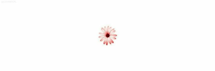 nessa_mclane's profile banner image