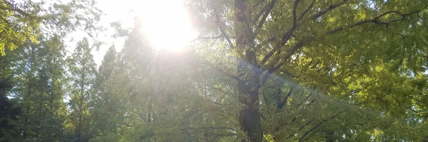 NazzTea's profile banner image
