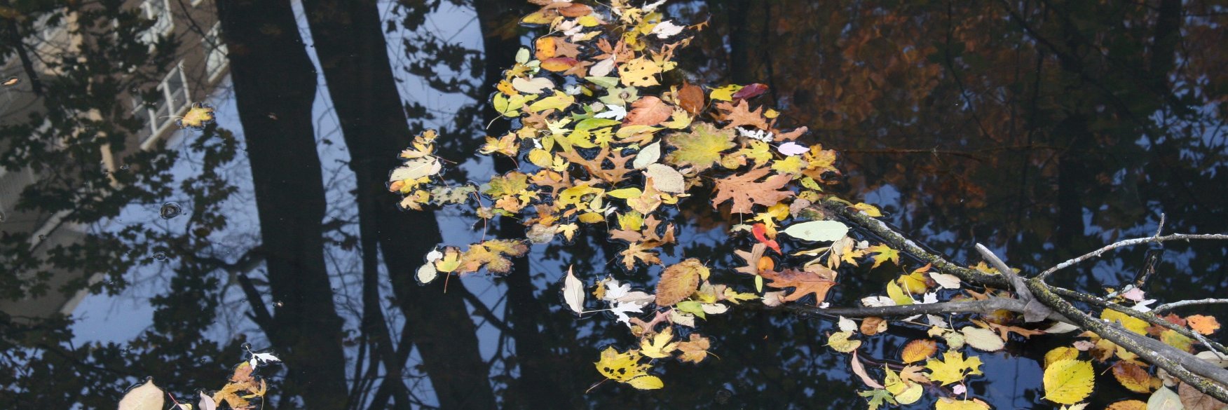 JenLitowski's profile banner image