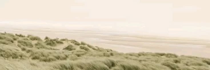 ✩ banner