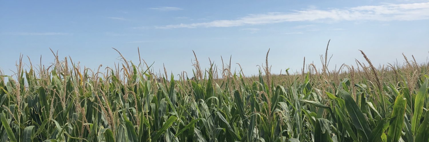 Austin Dobbels banner