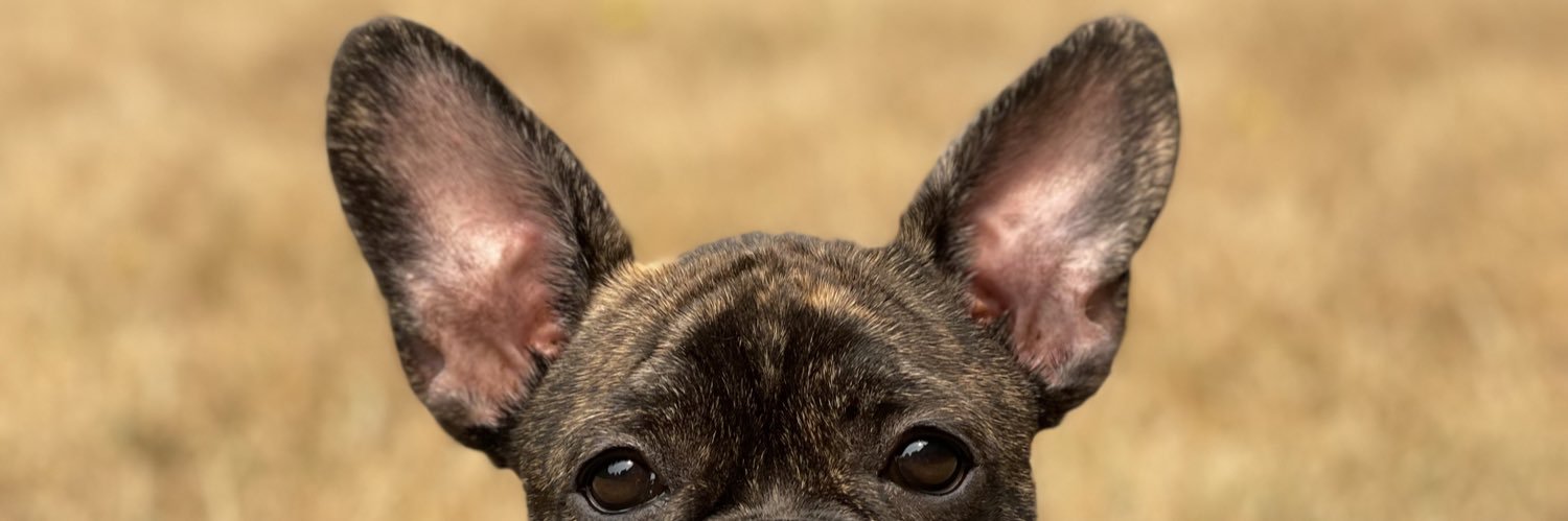 codywluthy's profile banner image