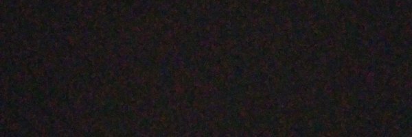 lisanapper Profile Banner