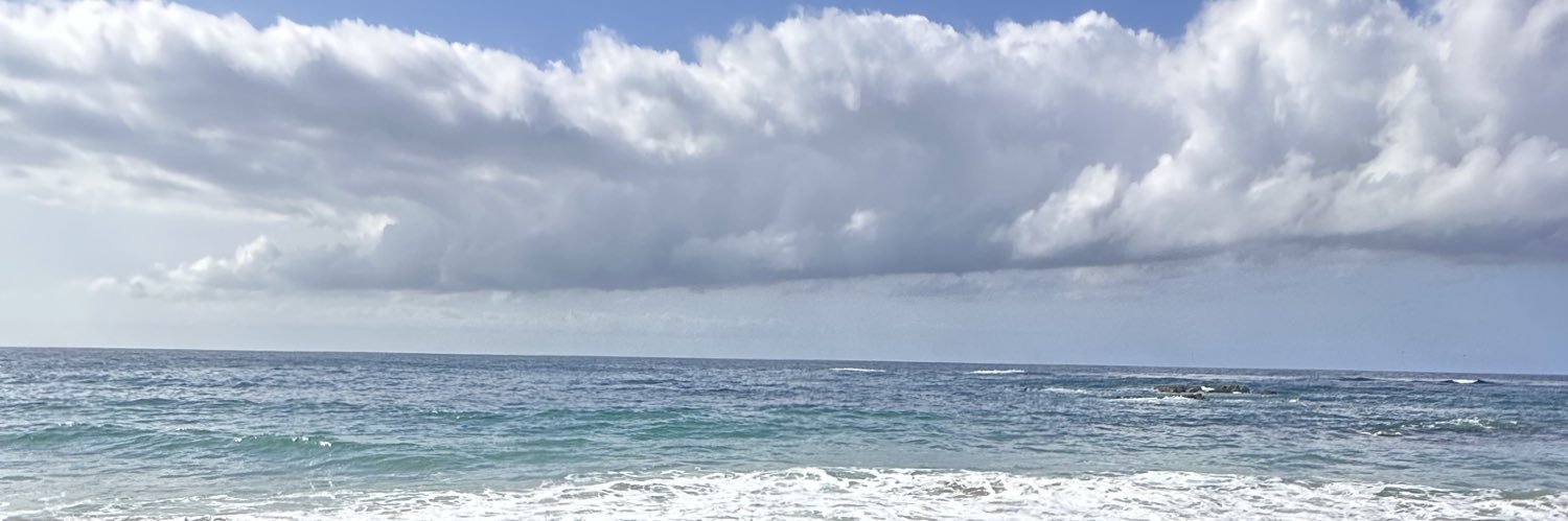 _y_sannn's profile banner image
