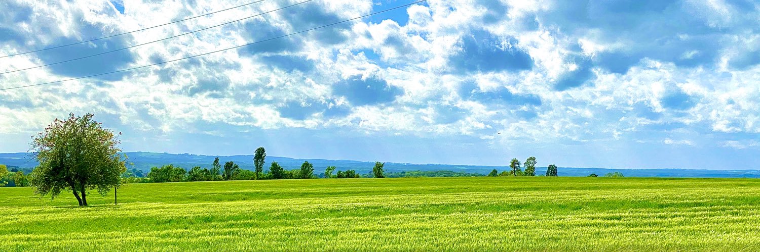exanadrel's profile banner image