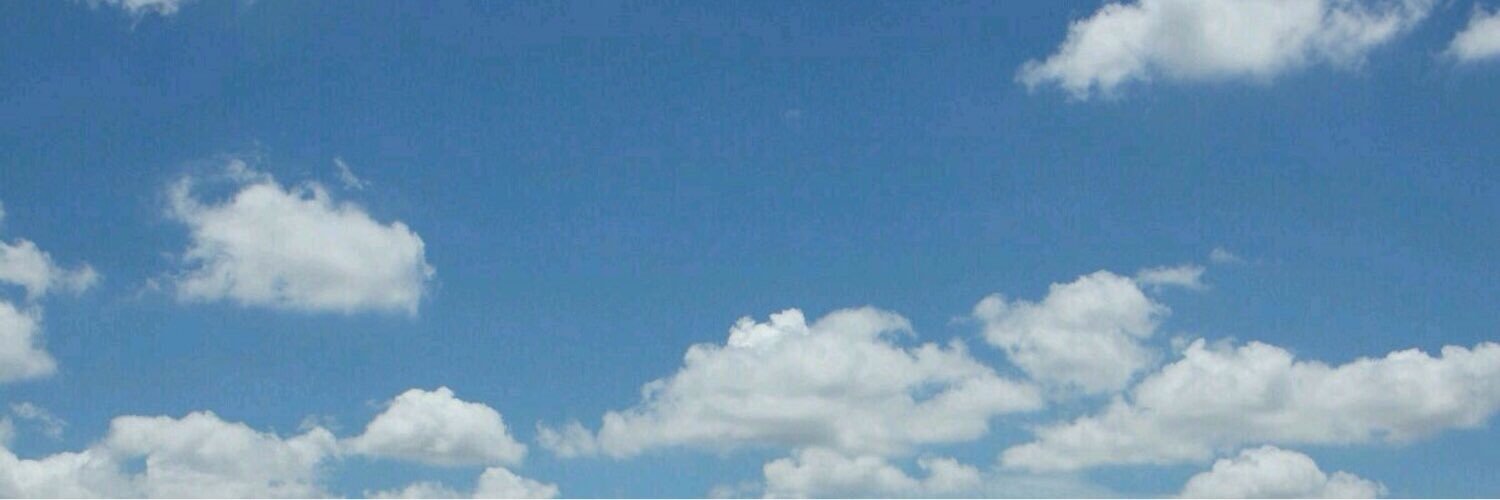 skiingdoberman's profile banner image
