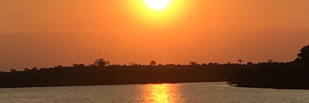 lettie_lab's profile banner image