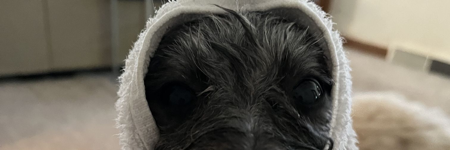 Lucascox27's profile banner image