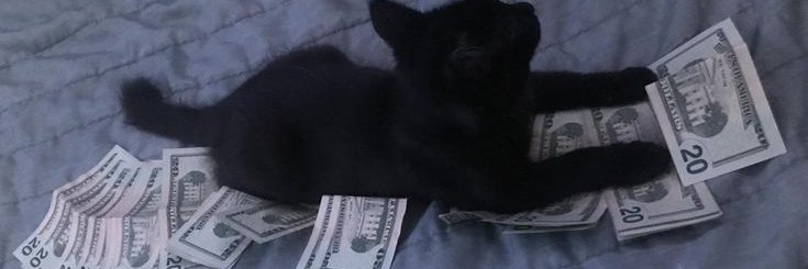 DevinTheDev10's profile banner image