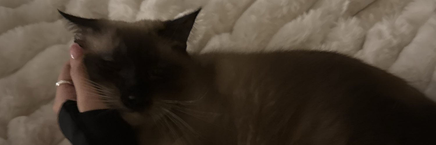 nikstuckman's profile banner image