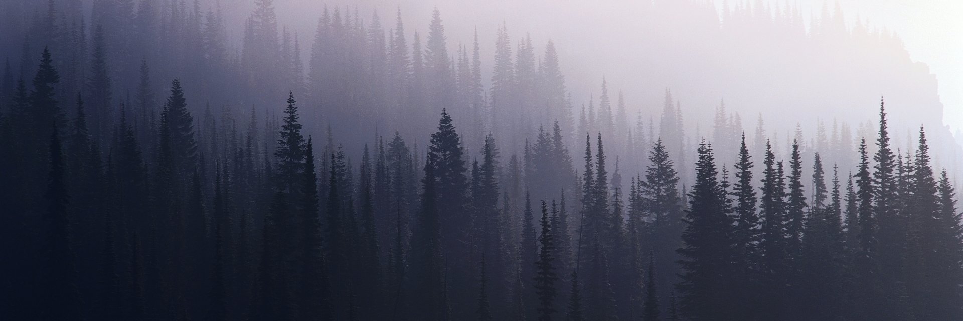 ladyinletters_'s profile banner image
