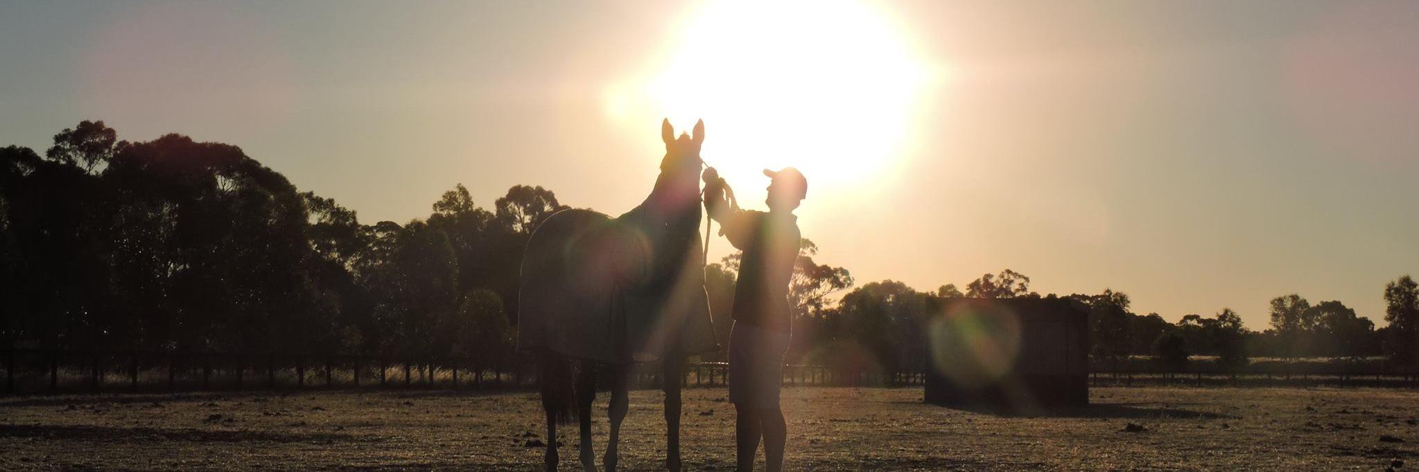 Stonehouse TBs banner