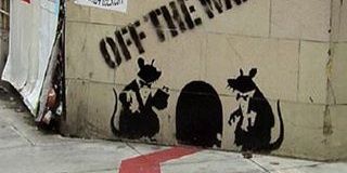 Luna Fernandez-Barham banner