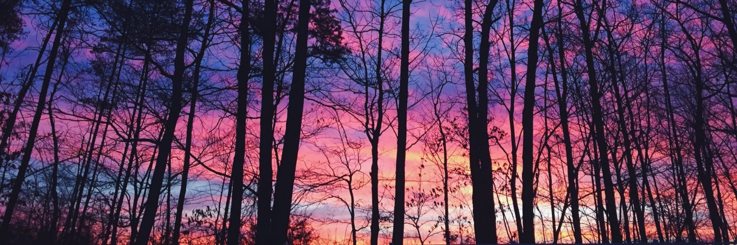 badassbaska's profile banner image
