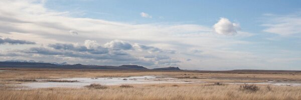 soszi Profile Banner