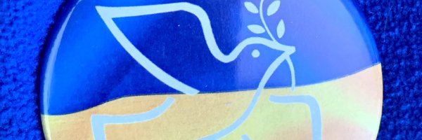 SiegfriedGleich Profile Banner