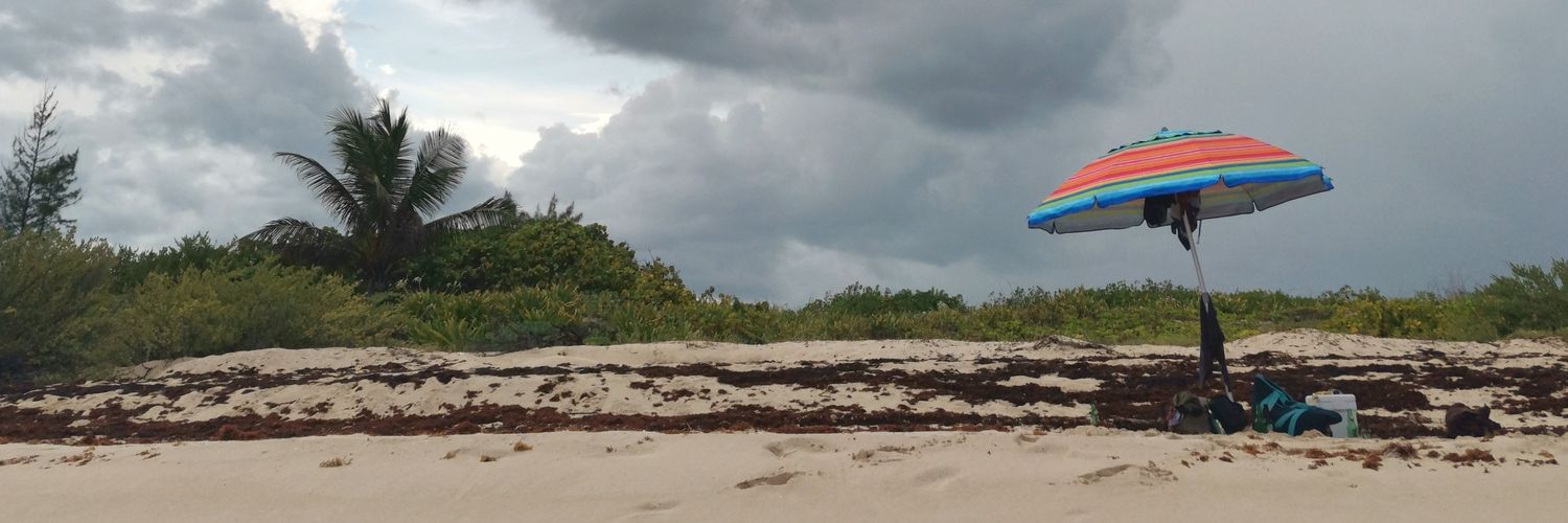 Javier González banner