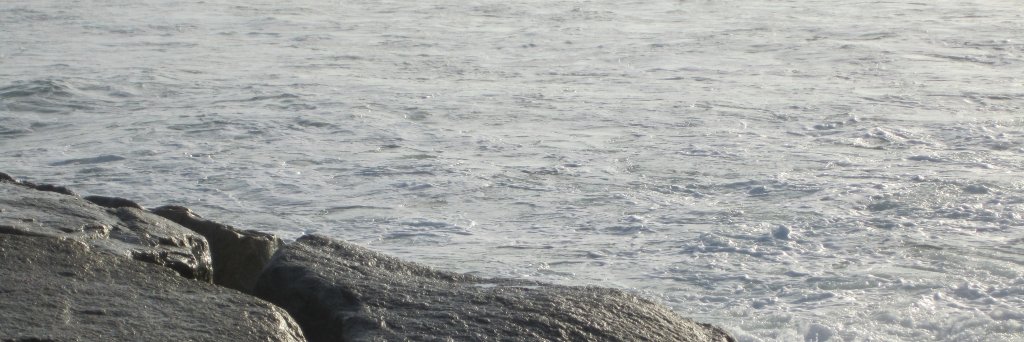 Laura Dawn Barbieri banner