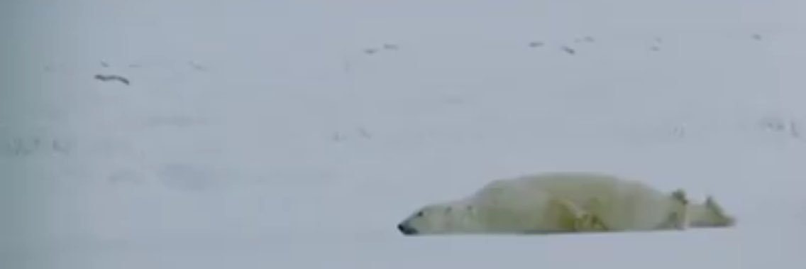 RubenStaurs's profile banner image