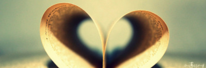 Debbie Darwin banner
