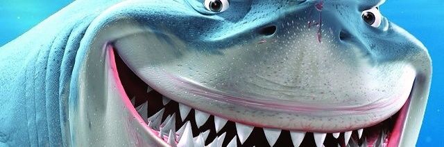 caiçara 🦈 banner