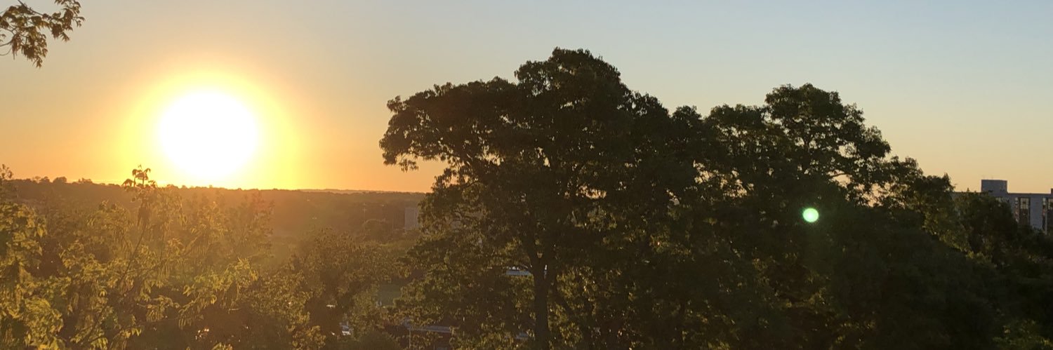 sewhitwill's profile banner image