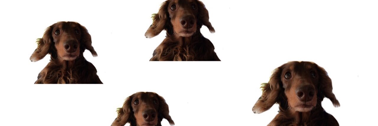 kyrL5's profile banner image