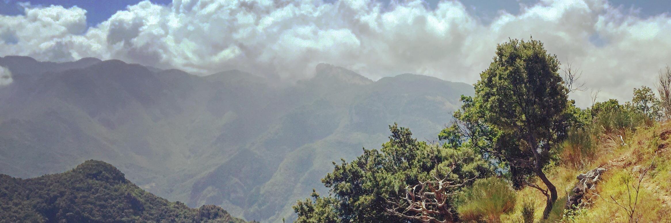 Greener Media banner