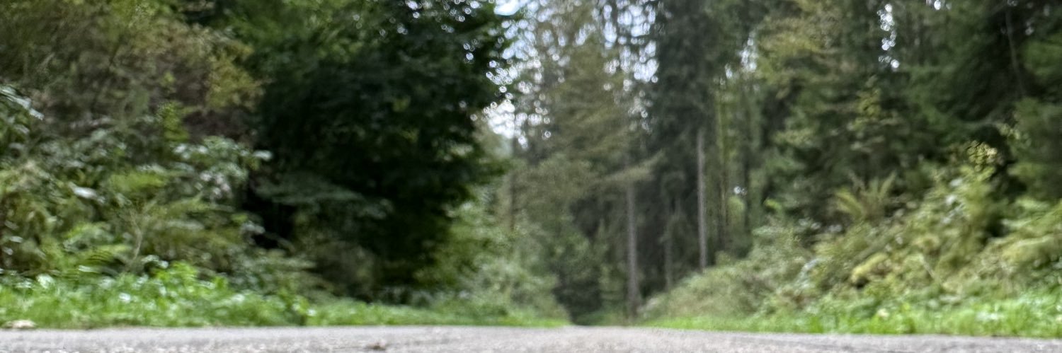 rrr4191's profile banner image
