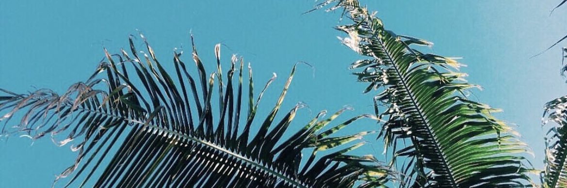 Julii_Ubiedo's profile banner image