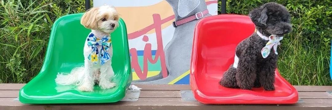 🍓Rainy Park.🍒 banner