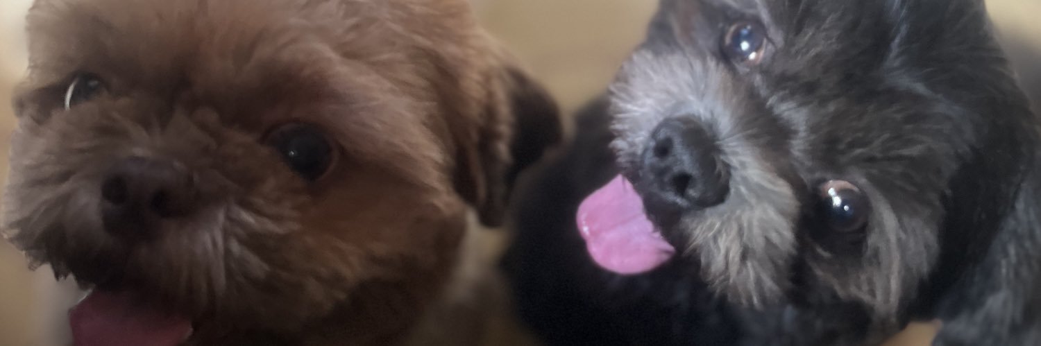 zoyrellaudrey's profile banner image