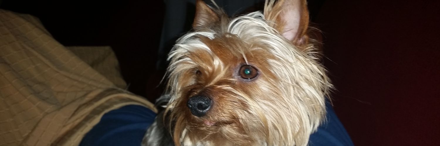 Sergio Lepe Dueñas banner