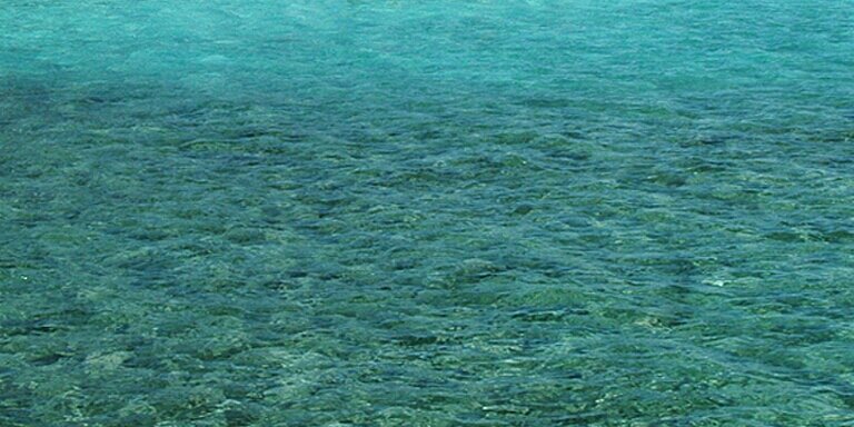 AnaAgool's profile banner image