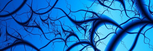 GCSCS_RuG Profile Banner