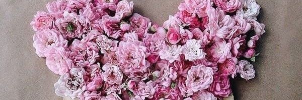 Sucidwiw's profile banner image