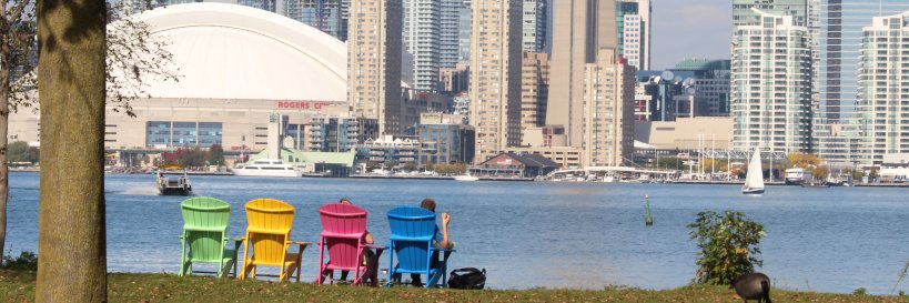 Rosemary Frei banner