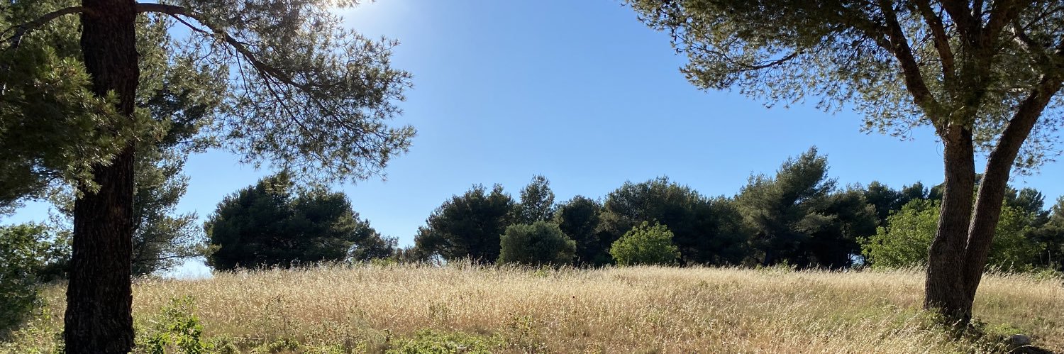 stephane hallegatte banner