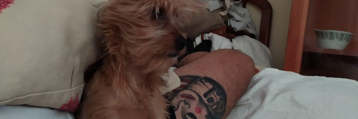 varodelicado96's profile banner image